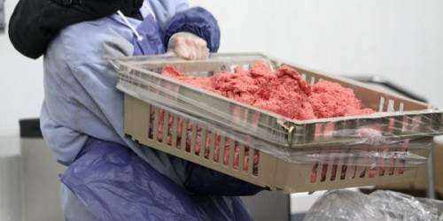 Taco Maker tendrá carne boricua en sus restaurantes