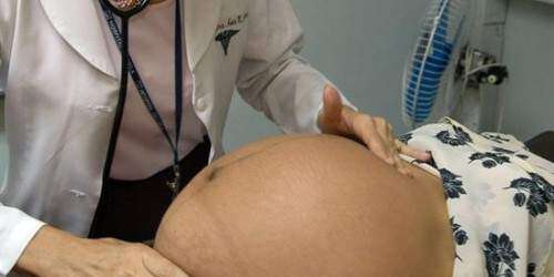 Casi 300 embarazadas con zika