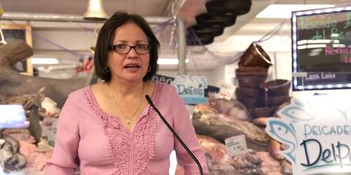 Empresa que introdujo Naled a P.R. niega información a Agricultura (documen