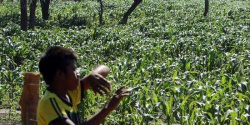 Demanda de alimentos crecerá a menor ritmo hasta 2025