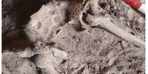 Osamenta hallada en Arecibo es de desaparecido desde 2014