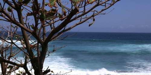 JCA informa de ocho playas contaminadas