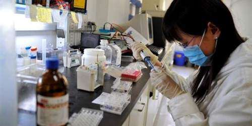 Emplean Inteligencia Artificial para detectar un tipo de leucemia