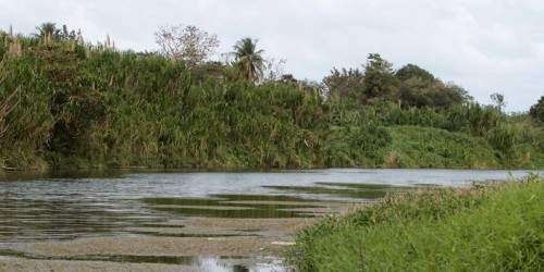 Rescatan a varias personas atrapadas en creciente de río en Ciales
