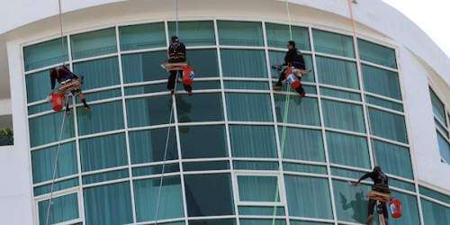 Empleo agrícola y por cuenta propia se estanca en octubre (documentos)