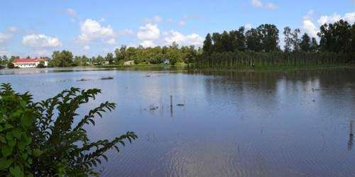 Toneladas de arroz para sufragar la matrícula universitaria en Tailandia