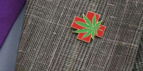 Seguirán estudiando el efecto del cannabis en Puerto Rico