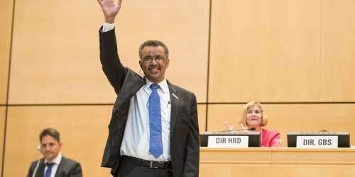 Nueva dirección en la Organización Mundial de la Salud