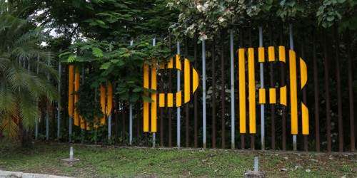 Profesores del RUM continuarán buscando una reforma universitaria