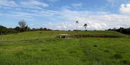 Legisladores buscan eliminar el uso del herbicida glifosato