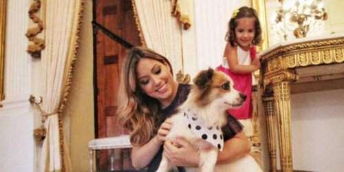 Puerto Rico también recibirá mascotas de los refugiados de islas vecinas