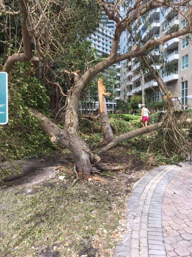 Mira los daños causados por Irma en Florida (galería)