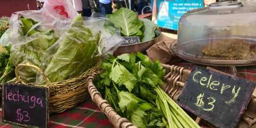 Organizaciones donan medio millón de dólares a agricultores