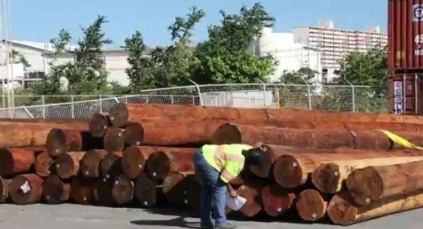 Llegarán miles de postes la semana próxima