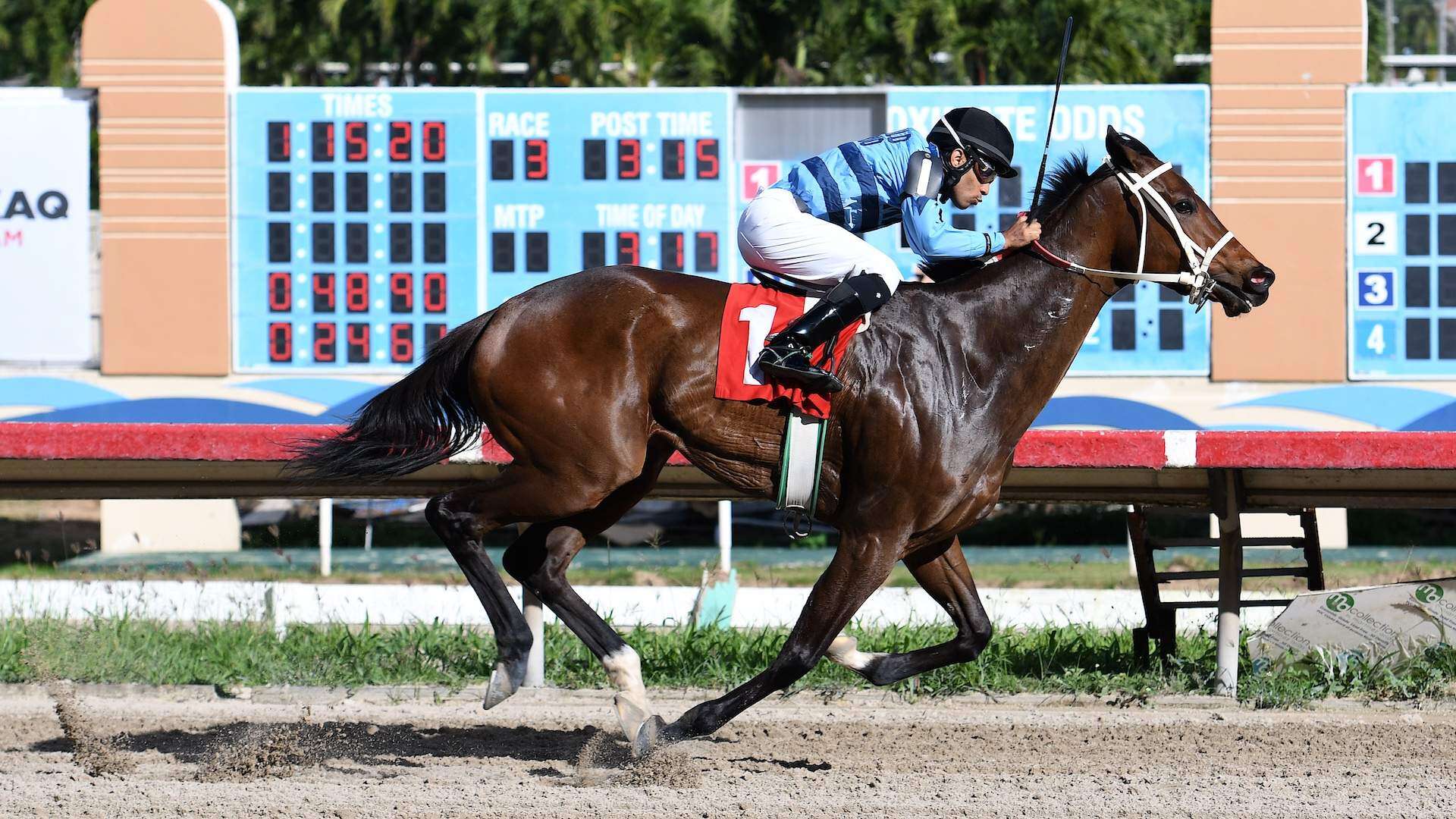 Se vuelven a soltar los caballos en el Hipódromo Camarero