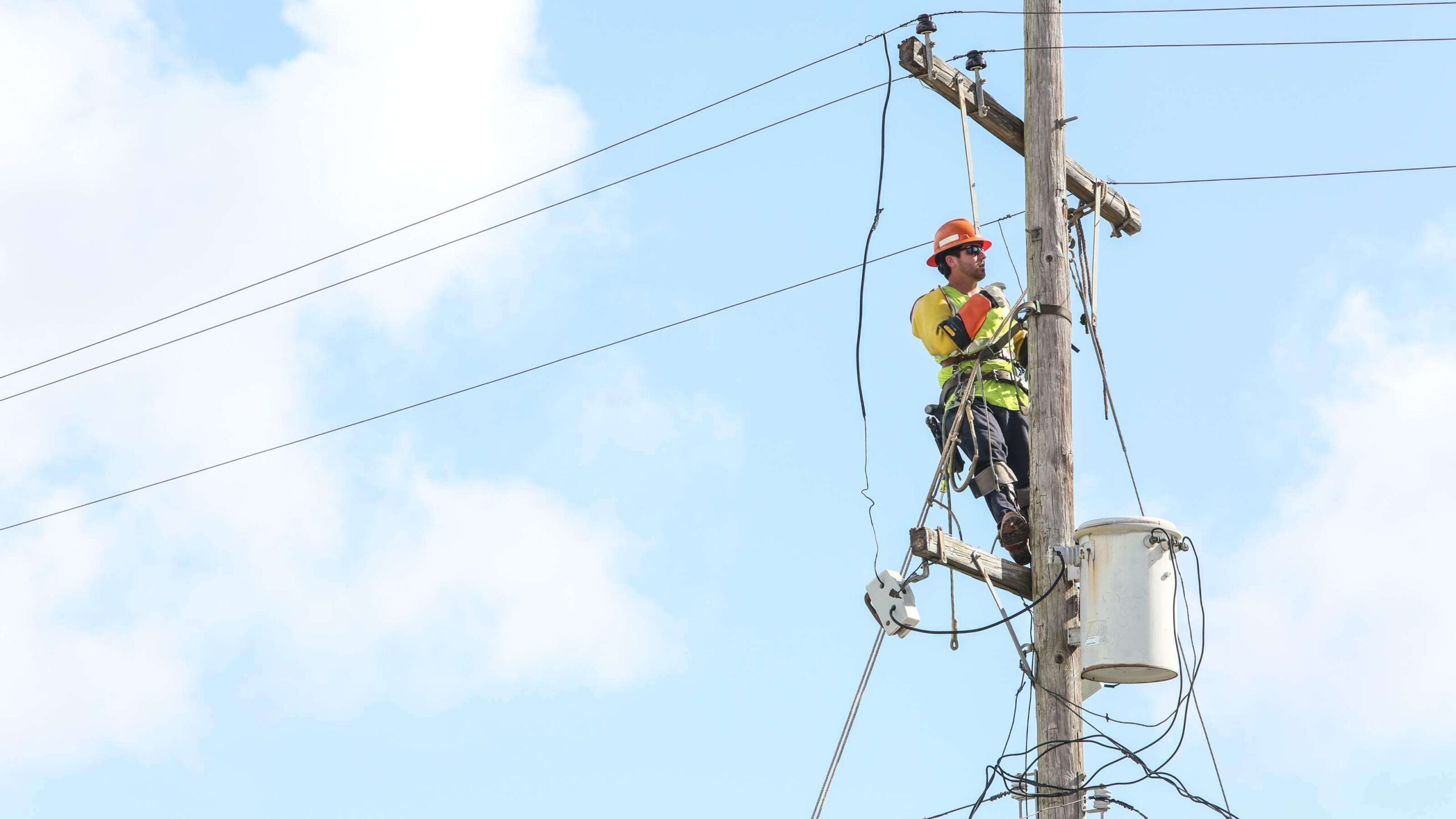 Buscan electrificar las Navidades