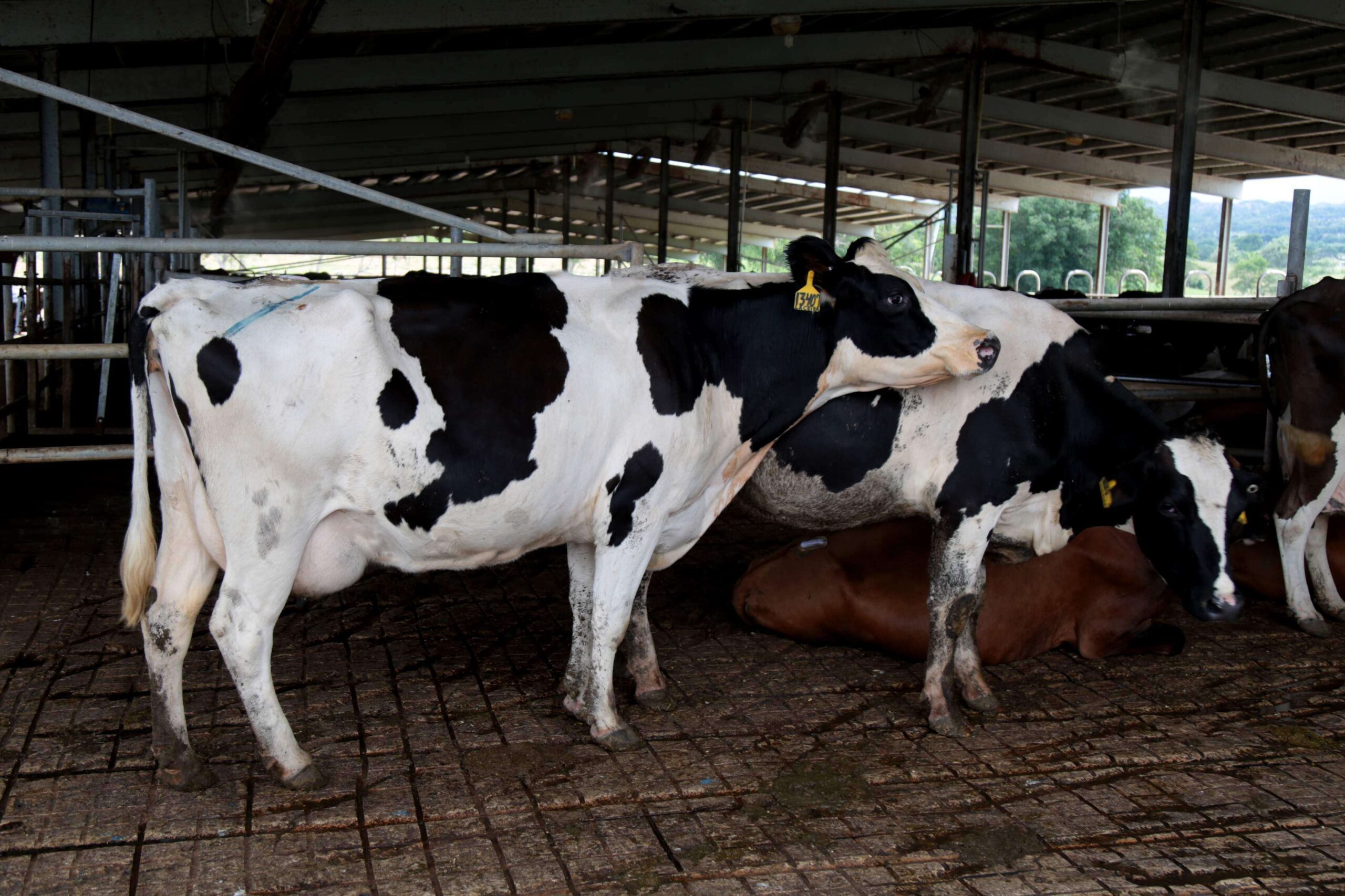 Supremo confirma compraventa de Indulac