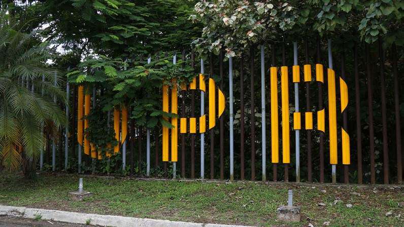 ICP tendrá internado para estudiantes de la UPR