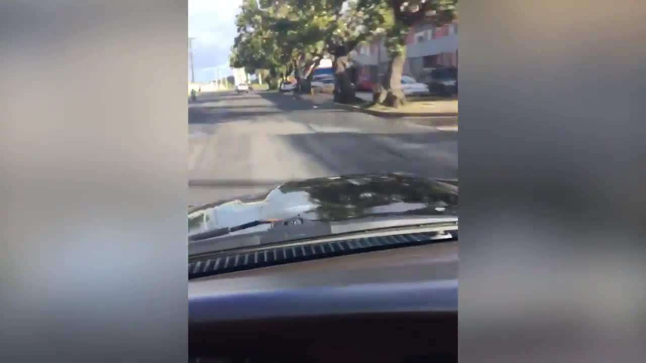 Hombre abandona perrito en la calle