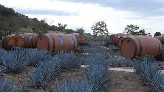 Turistas pueden dormir en barriles de tequila en hotel de México