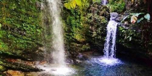 El Yunque gana premio turístico