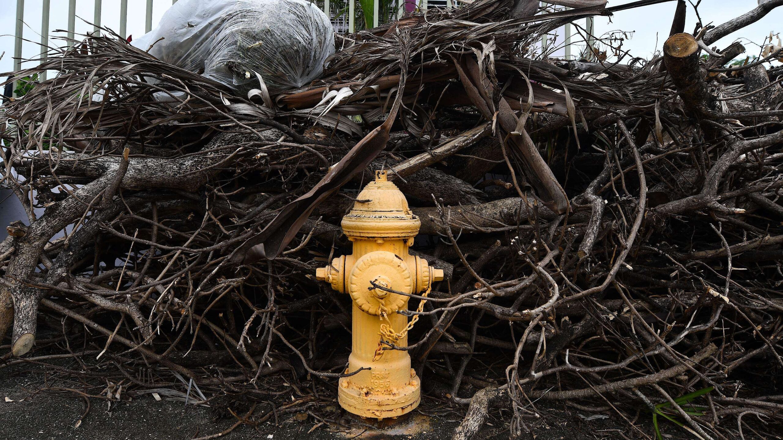 Nueva asignación de FEMA beneficiará a 5 municipios