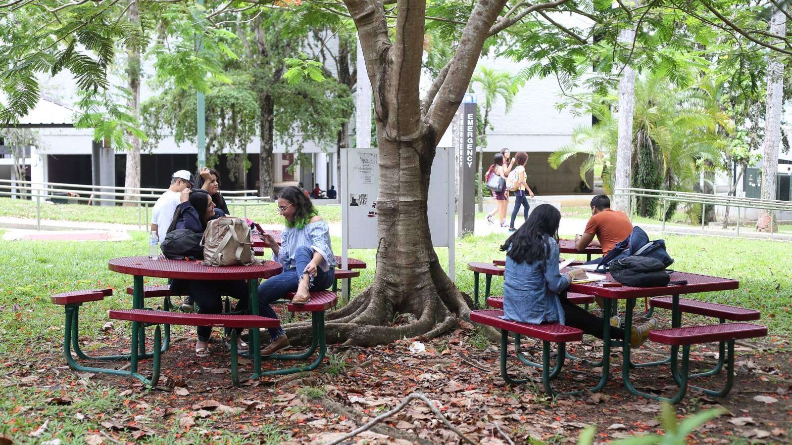 Incremento a la matrícula empeorará la pobreza estudiantil en la UPR
