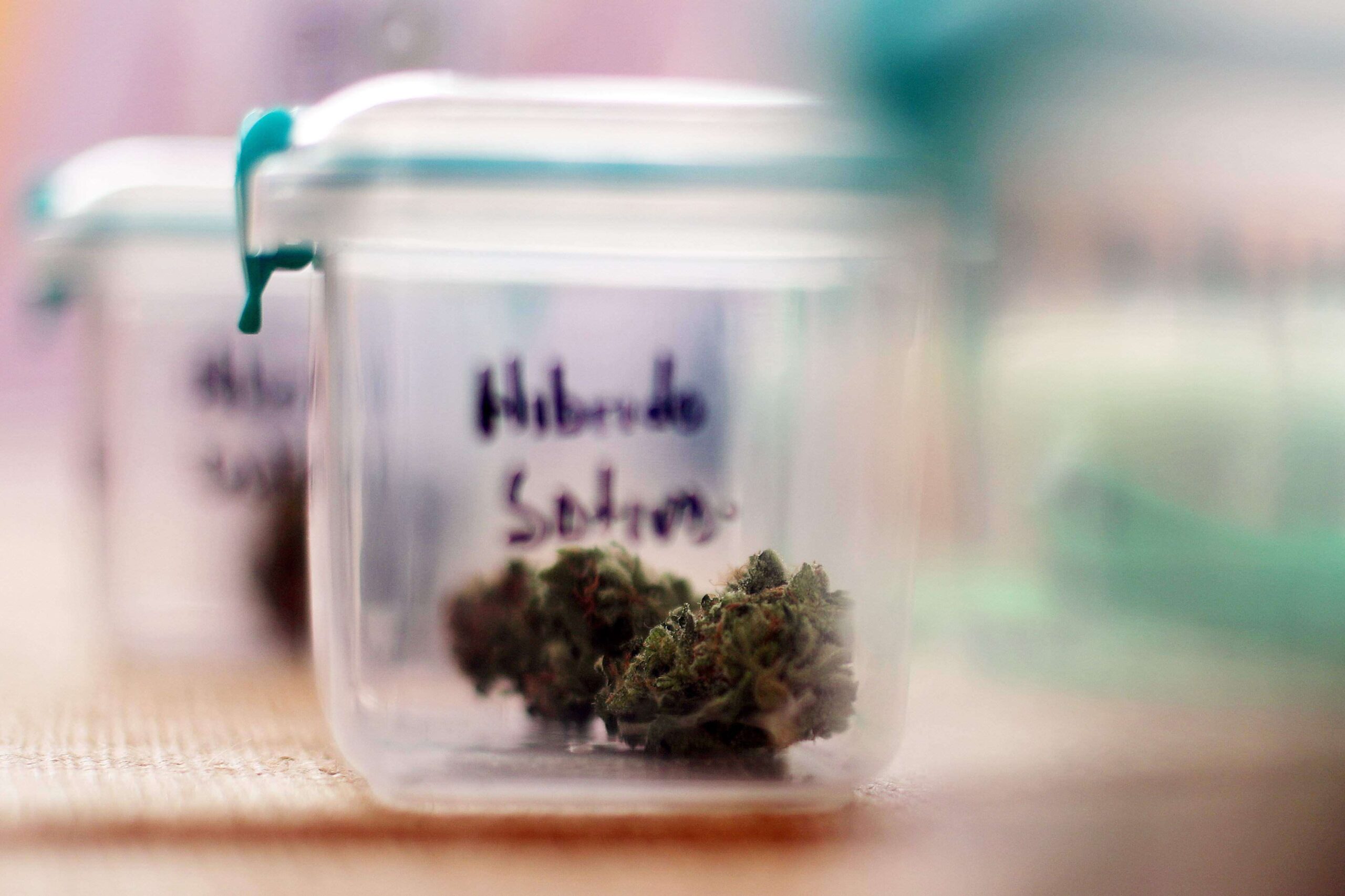 ¿Conoces los terpenos del cannabis?