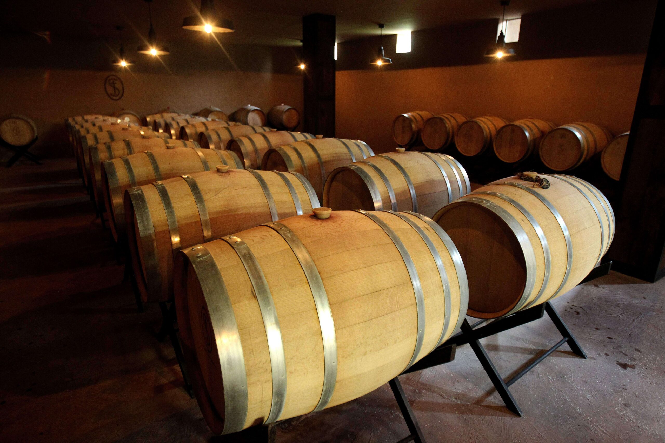 Nuevo espacio radial educará sobre el vino