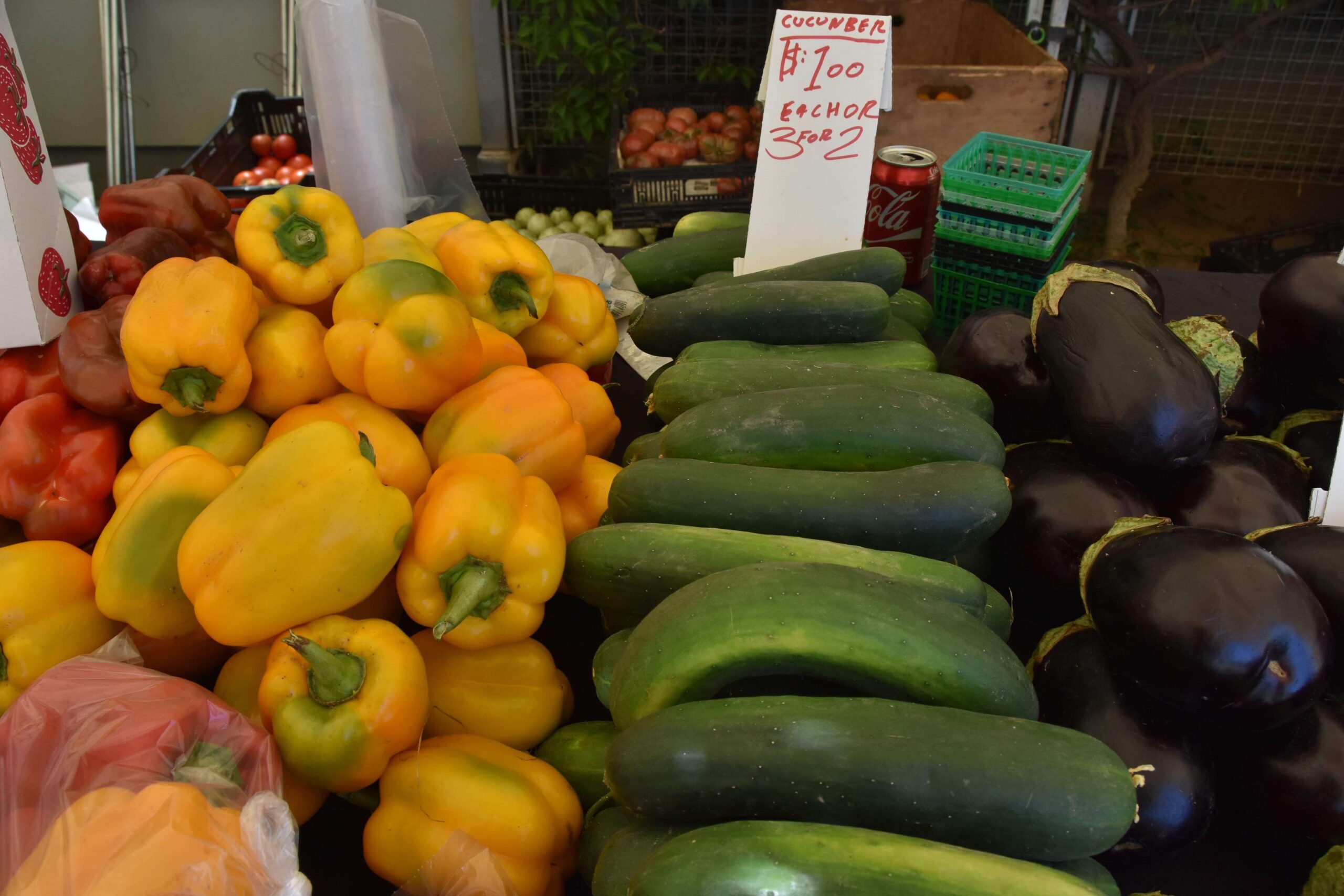 Impulsan políticas sobre alimentación saludable