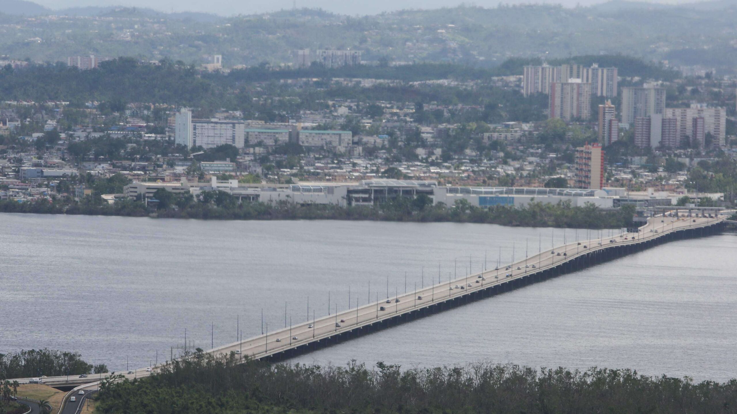 Vuelven los niveles altos de hongos y esporas en el aire