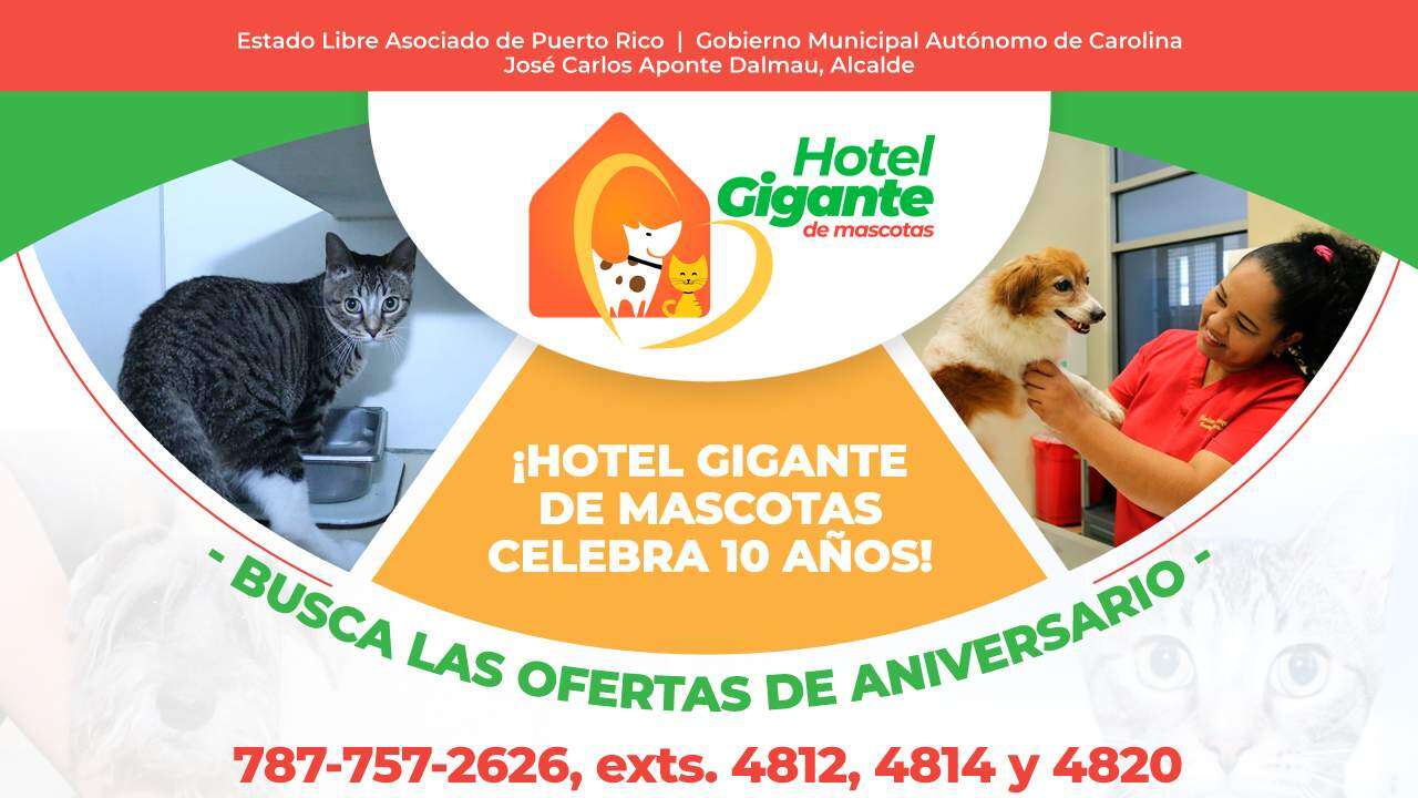 Hotel Gigante de Mascotas de Carolina celebra 10 años de servicio