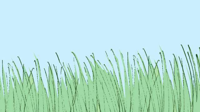 Pepito intenta conseguir a Yulín para que mande a cortar la grama