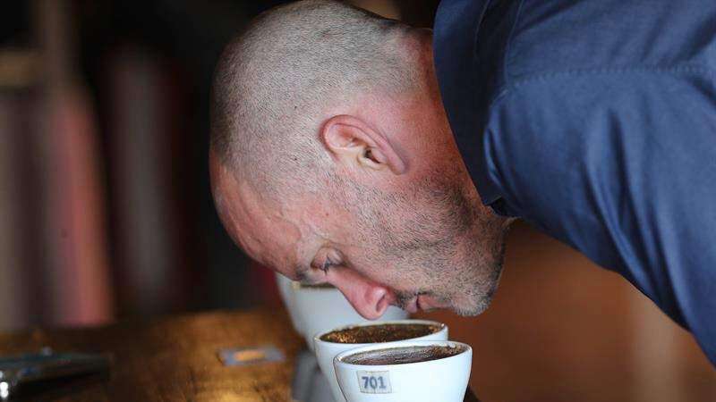 Compiten por el título del mejor café de Brasil