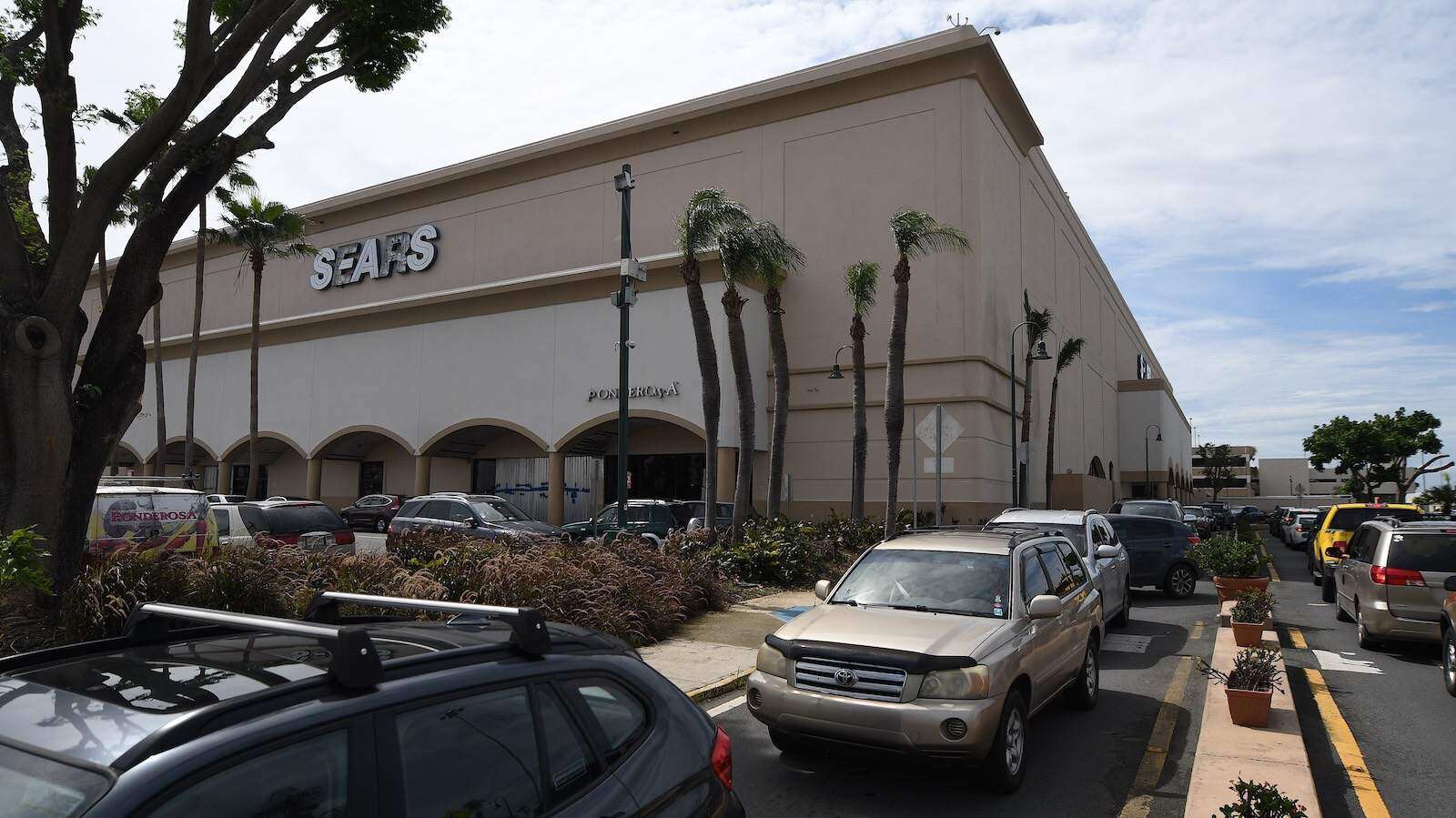 Sucumbe Sears a la bancarrota