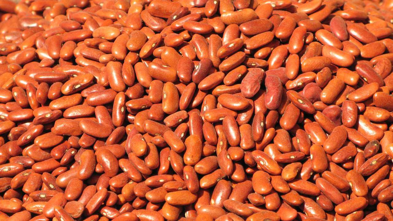 10 foods that double as medicine