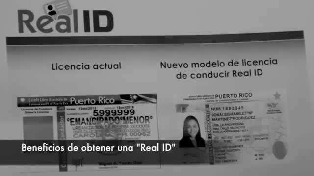 DTOP anuncia cambio de licencia por Real Id para 6 años