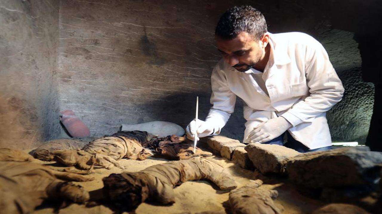 Descubren decenas de momias de animales y estatuas en Egipto