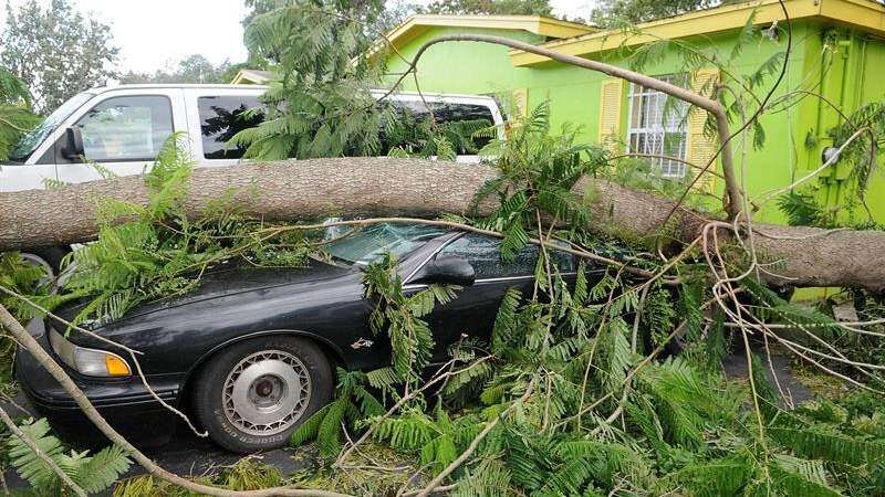Cambio climático reduciría la economía en 10%, según informe congresional