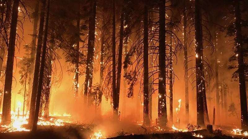 Rebajan a 993 los desaparecidos por incendio de California