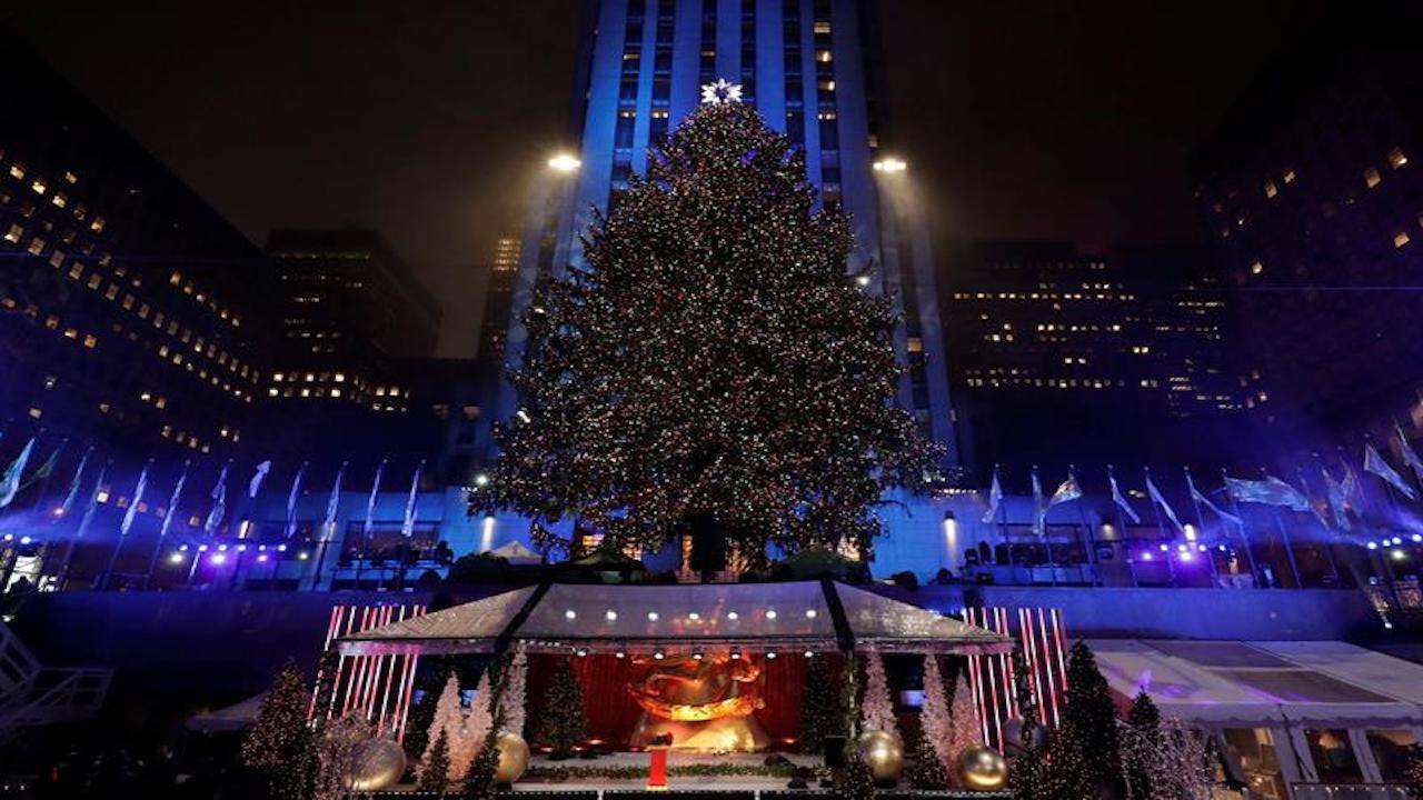 Llega emblemático árbol de Navidad al Rockefeller Center
