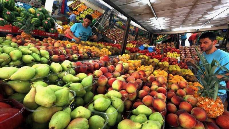 Sociedad desaprovecha los alimentos nutritivos