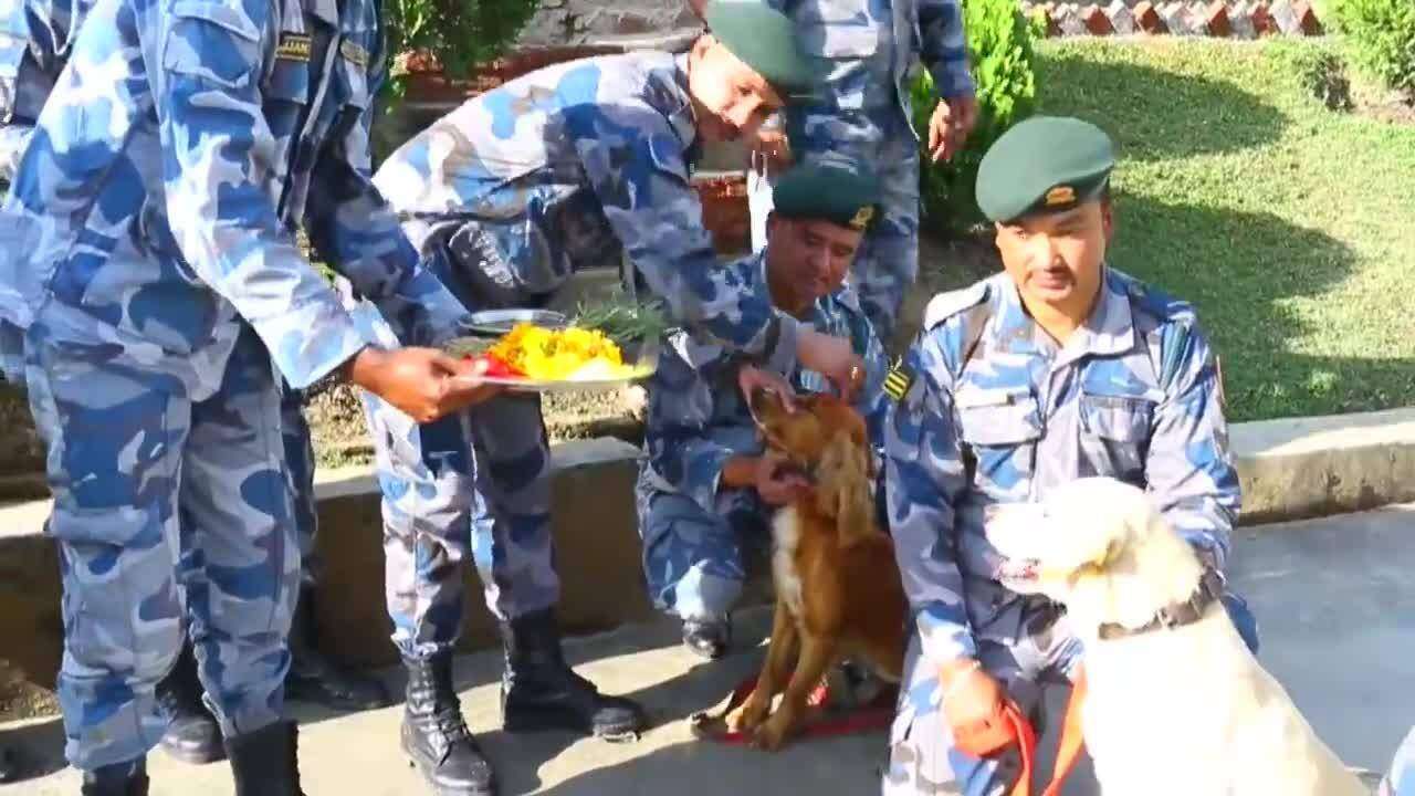 Nepalíes agasajan al mejor amigo del hombre
