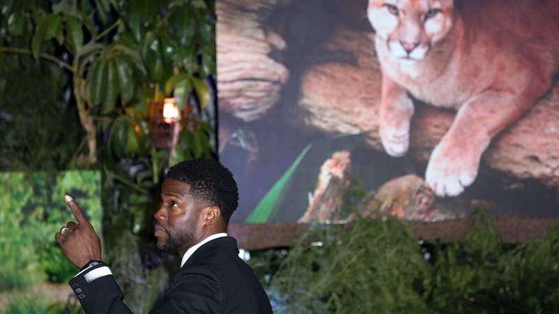 Tuit del pasado liquida a Hart de los Óscar en menos de 24 horas