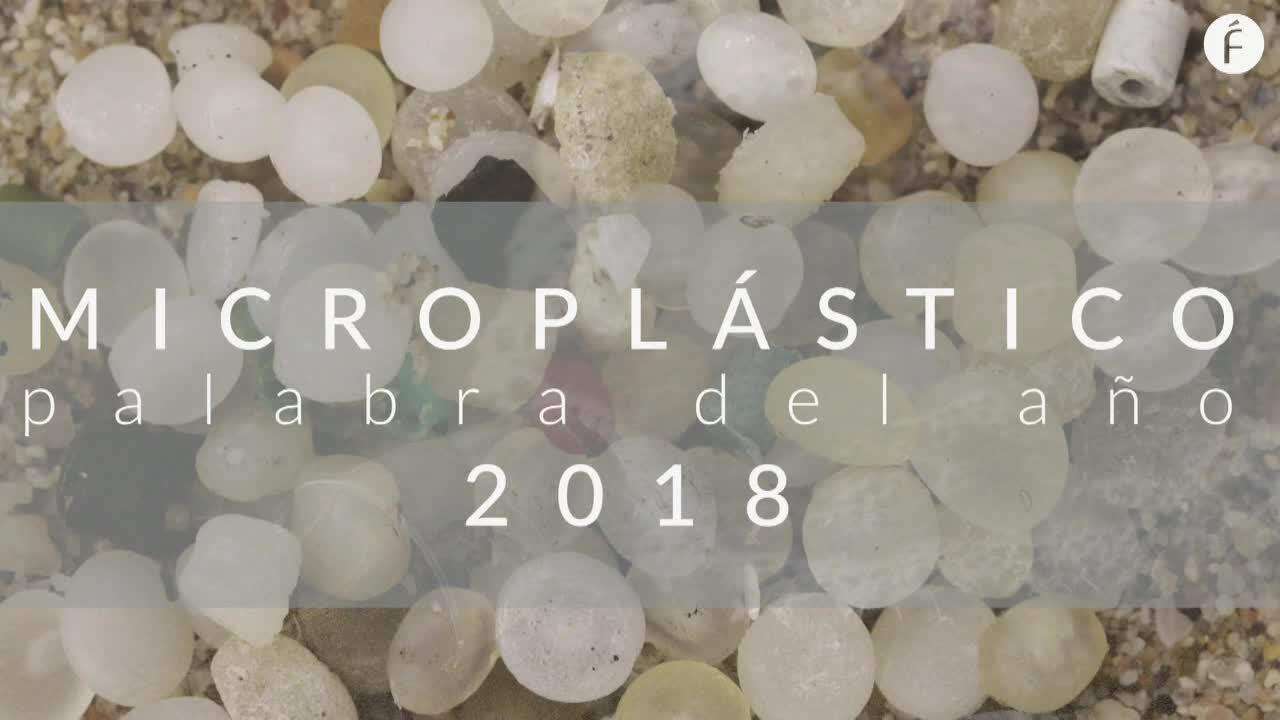 Microplástico es la palabra del año
