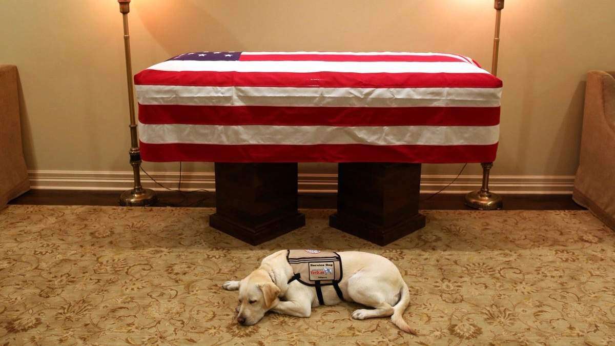 Perro de servicio de George H.W. Bush recuerda a su amo