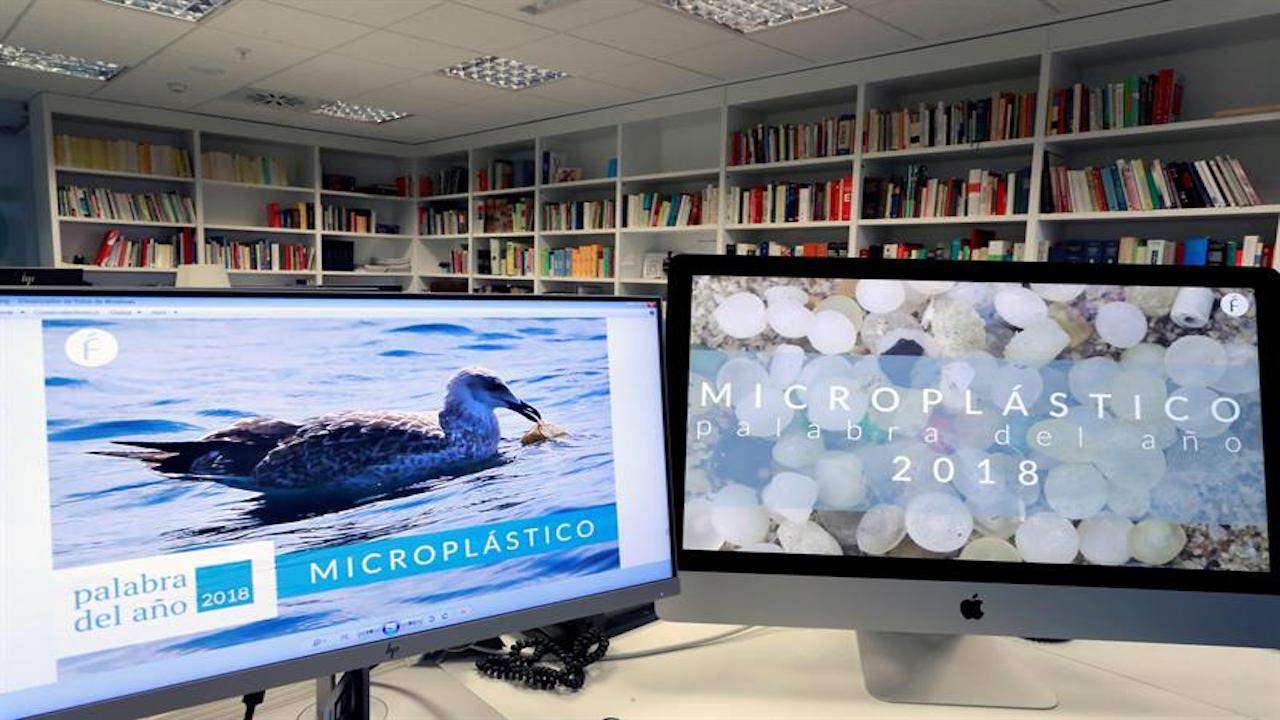 La palabra del año para la Fundación del Español Urgente