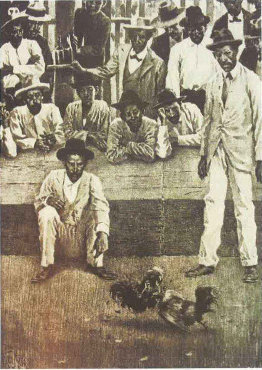 Las peleas de gallo en la historia de Puerto Rico