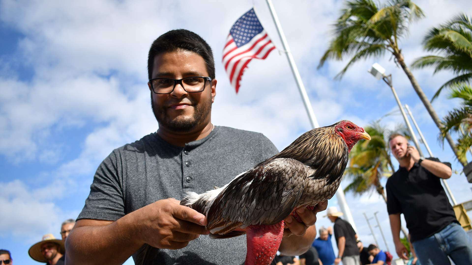 Galleros llevan sus reclamos frente al Capitolio
