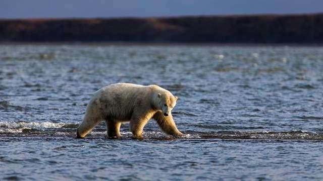 Históricas calientes temperaturas para el Ártico